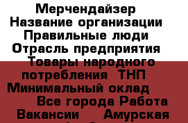 Мерчендайзер › Название организации ­ Правильные люди › Отрасль предприятия ­ Товары народного потребления (ТНП) › Минимальный оклад ­ 26 000 - Все города Работа » Вакансии   . Амурская обл.,Зея г.